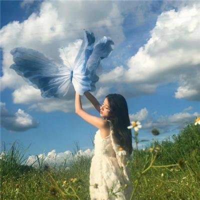 秩序的守护者